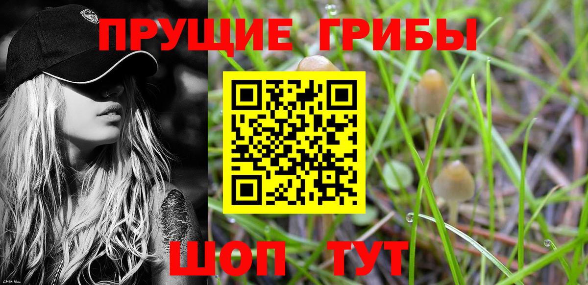 Псилоцибиновые грибы ЛСД  Псилоцибиновые грибы MAGIC MUSHROOMS  Домодедово  Вход с VPN 
