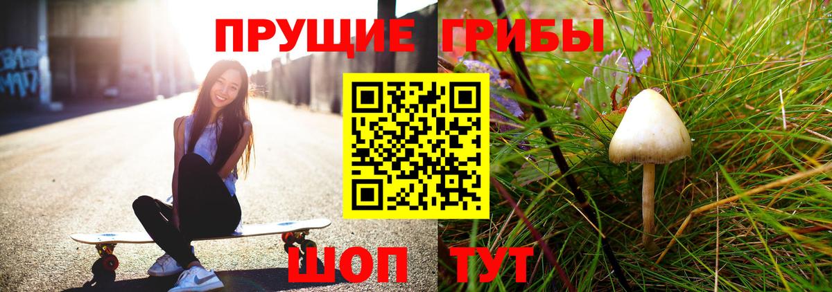 Галлюциногенные грибы Psilocybe Домодедово